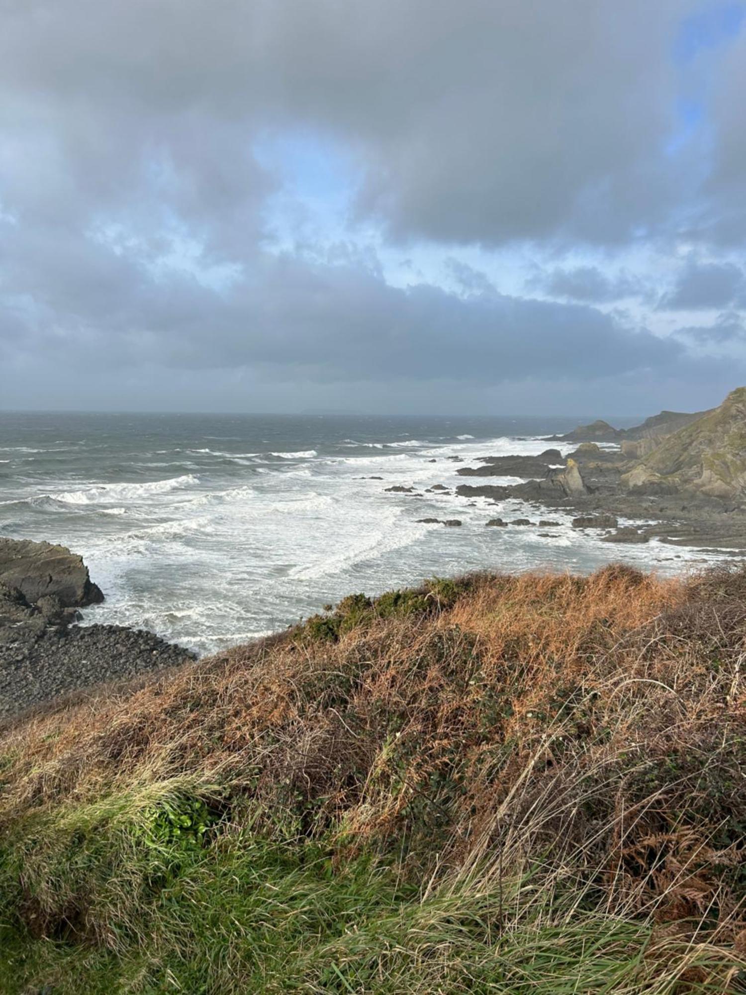 North Devon Seaside Cottage With Log Burner Bucks Mills Esterno foto