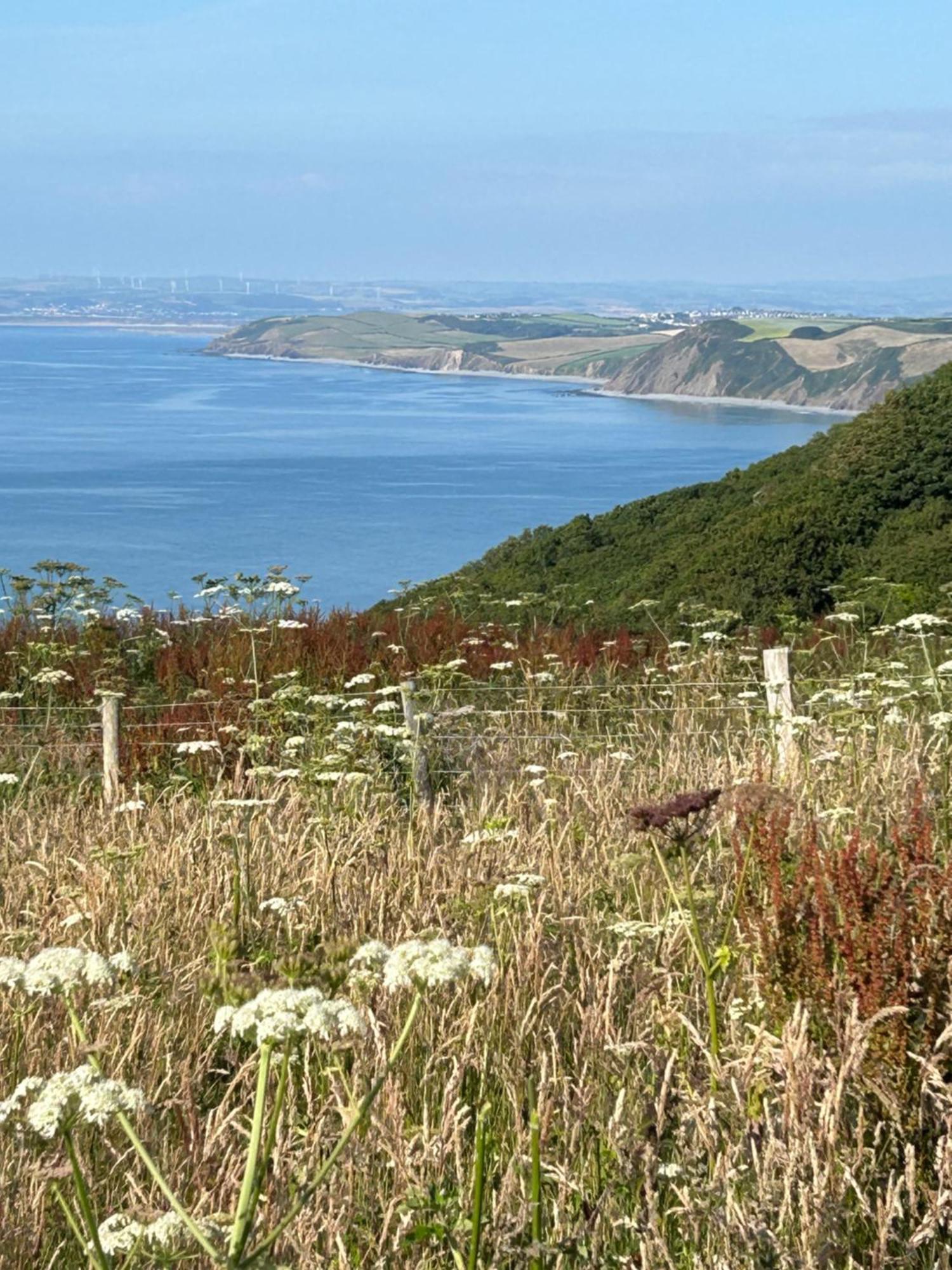 North Devon Seaside Cottage With Log Burner Bucks Mills Esterno foto