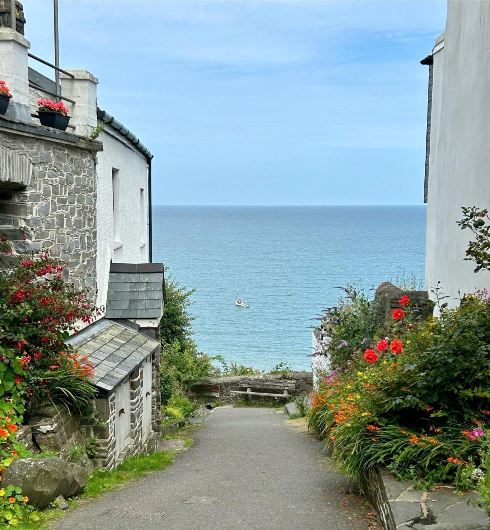 Cosy Boathouse Cottage By The Sea With Log Burner Bucks Mills Esterno foto