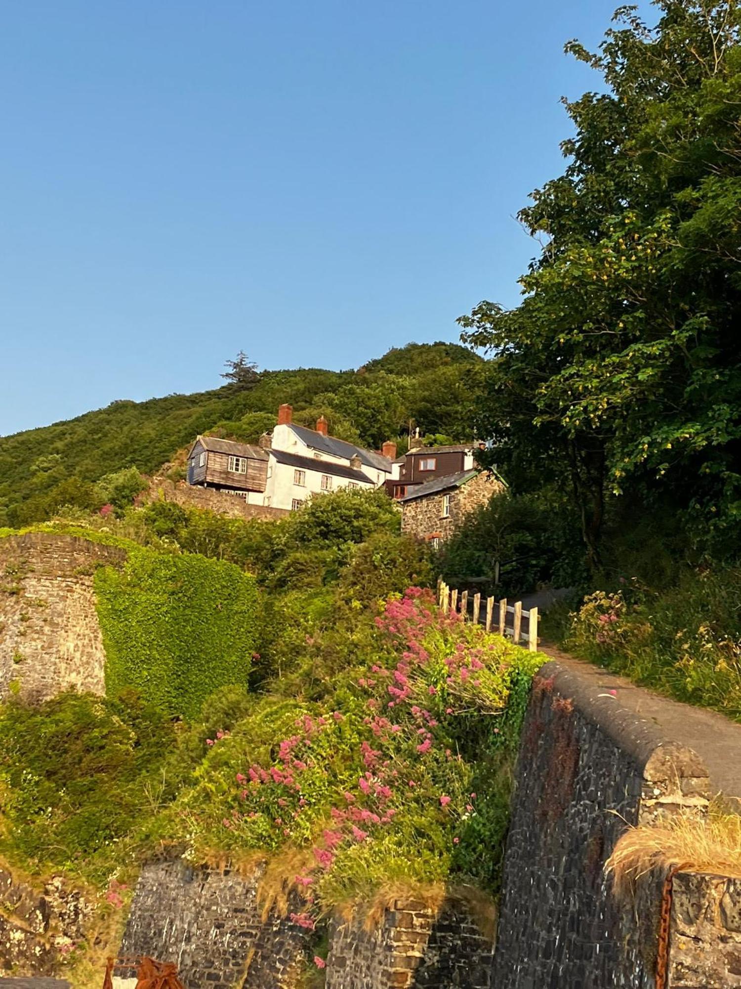 Cosy Boathouse Cottage By The Sea With Log Burner Bucks Mills Esterno foto