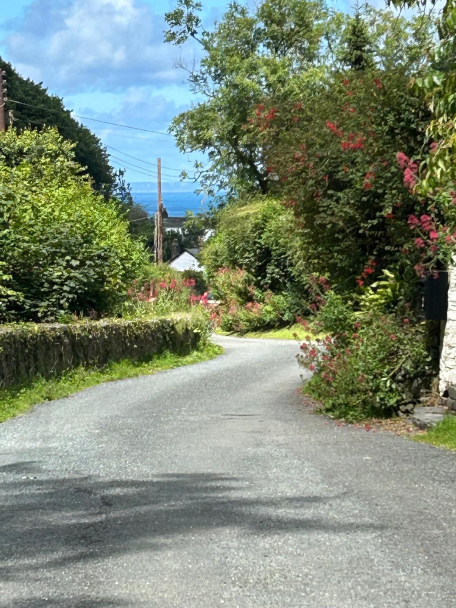 North Devon Seaside Cottage With Log Burner Bucks Mills Esterno foto
