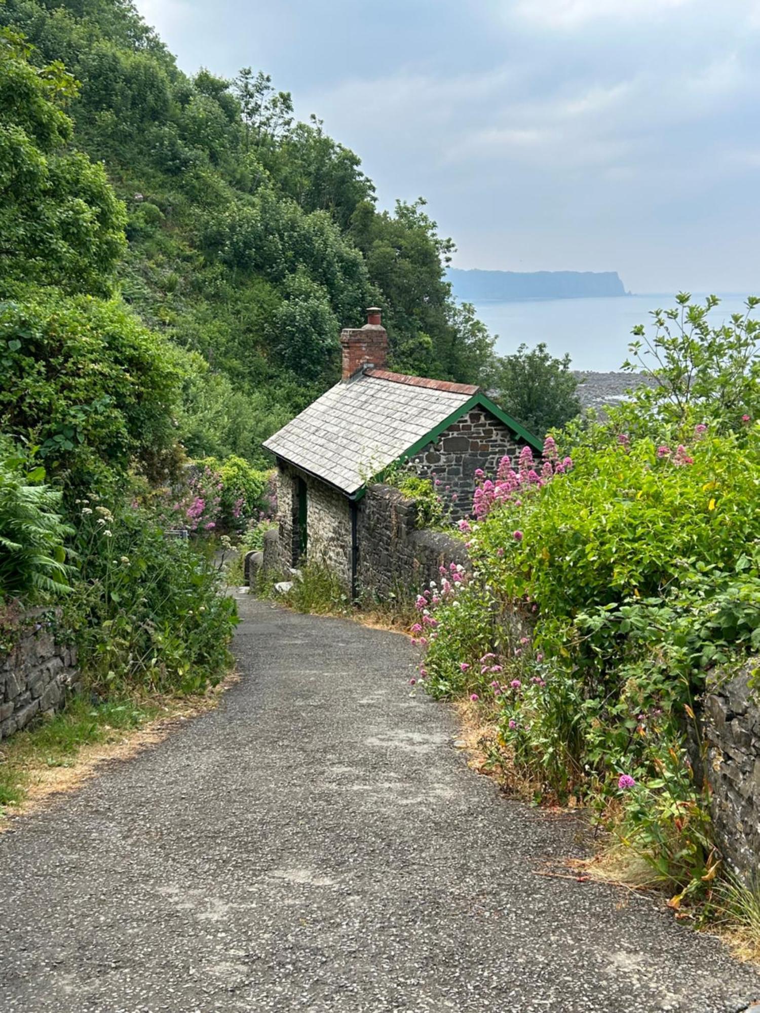 Cosy Boathouse Cottage By The Sea With Log Burner Bucks Mills Esterno foto