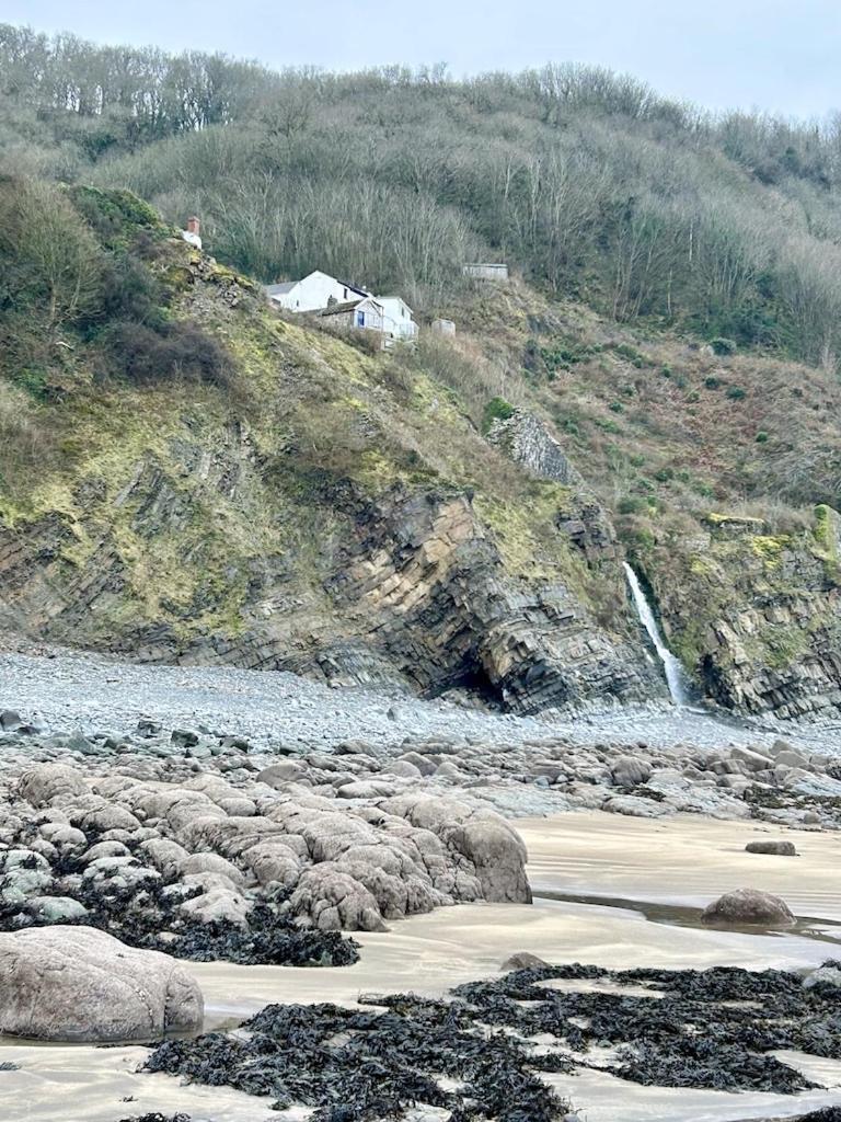 Cosy Boathouse Cottage By The Sea With Log Burner Bucks Mills Esterno foto